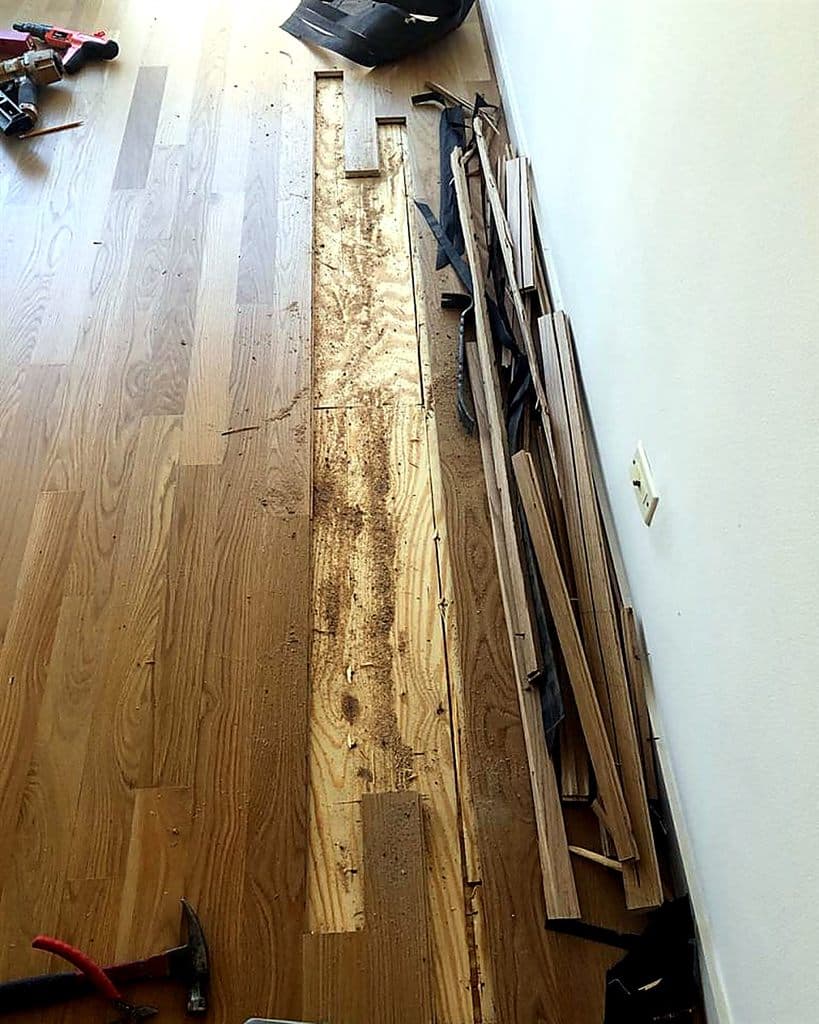 Hardwood floor board replacement in progress
